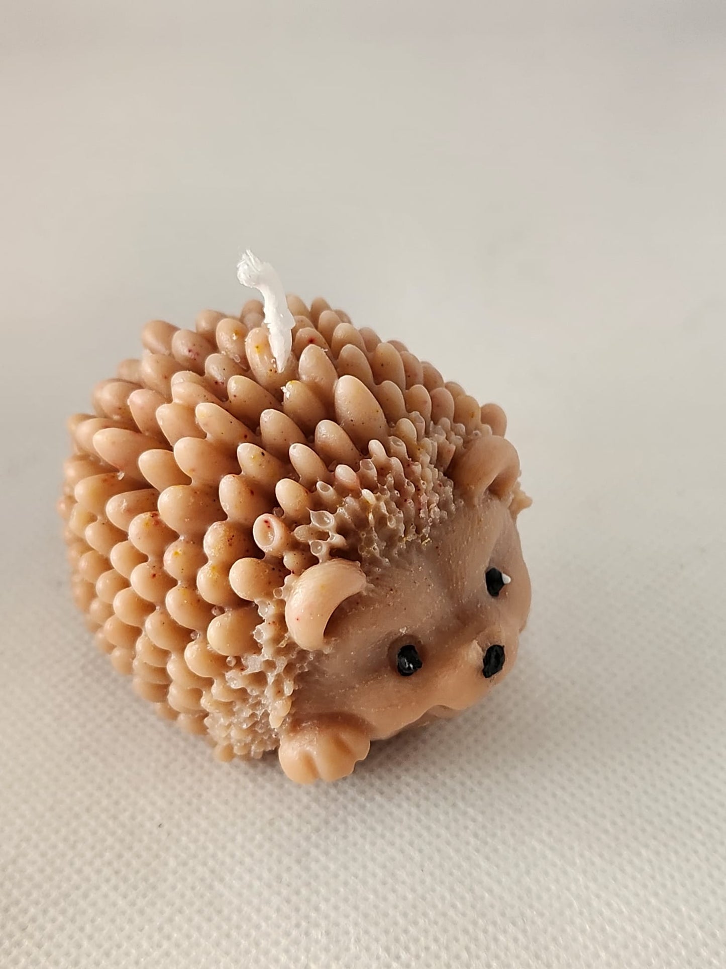 Igel