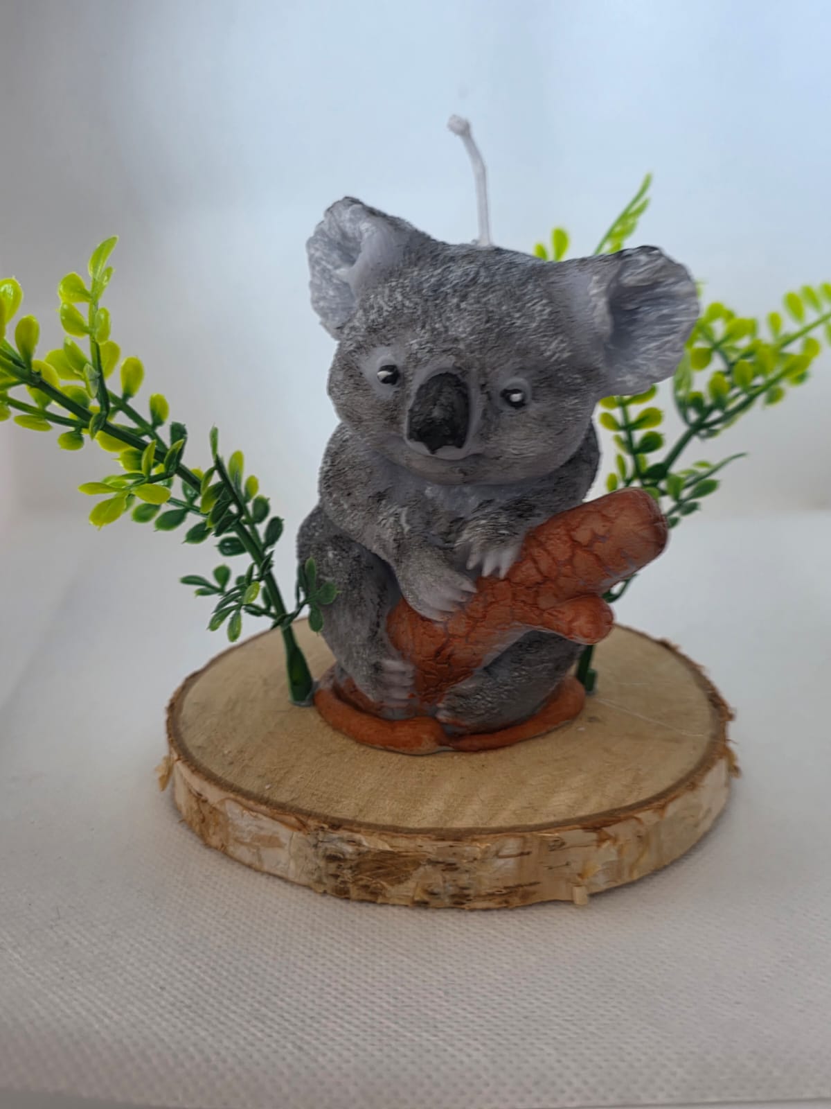 Koala Kerze