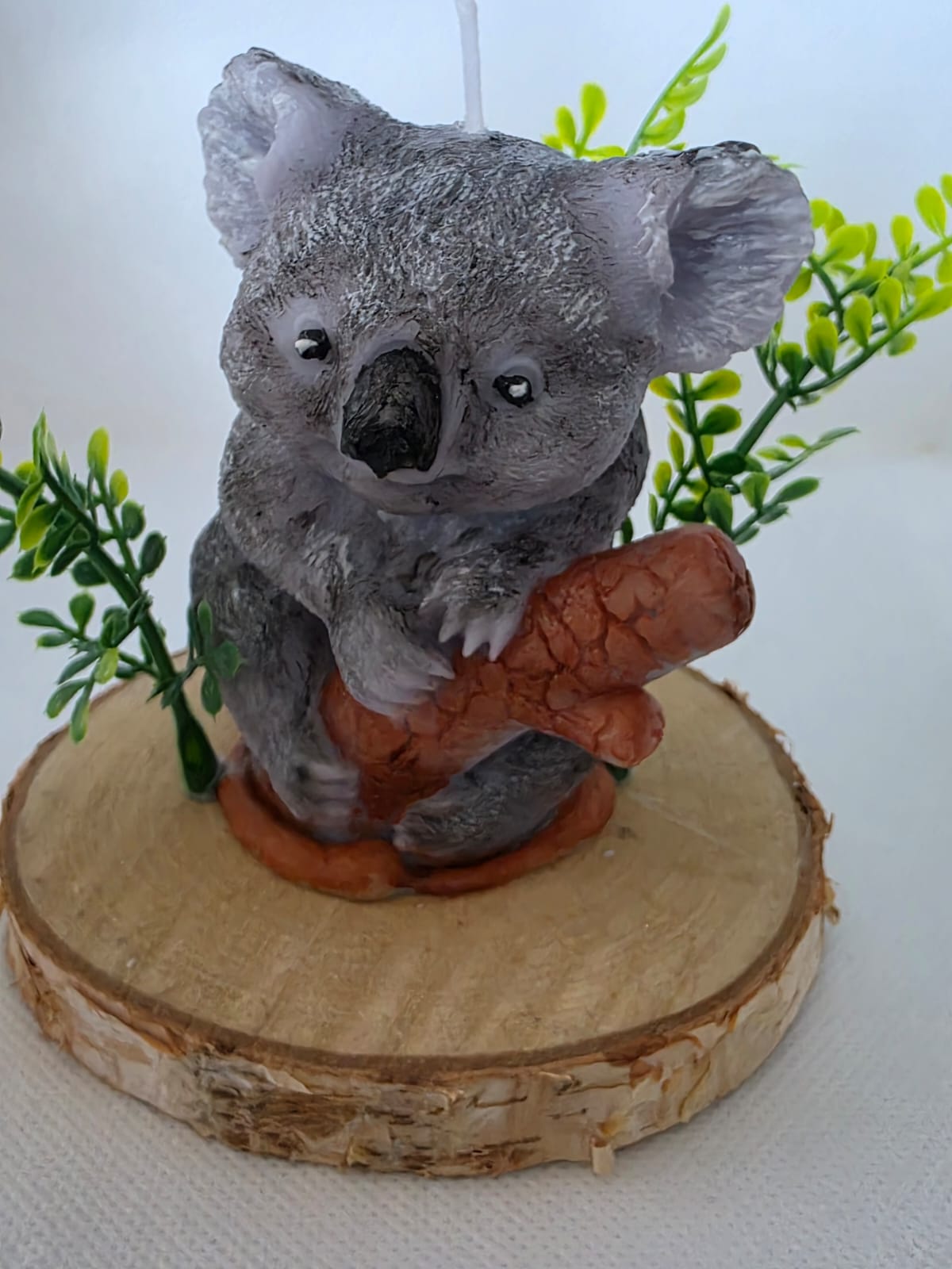 Koala Kerze