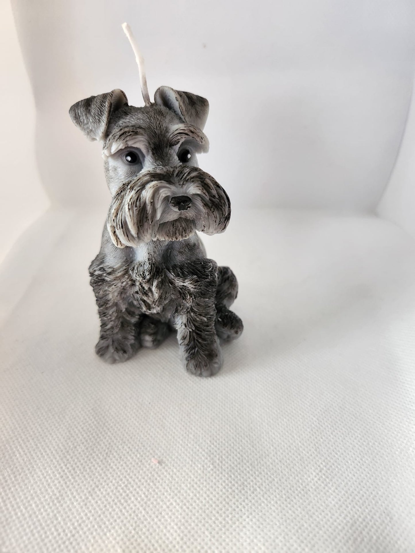 Schnauzer