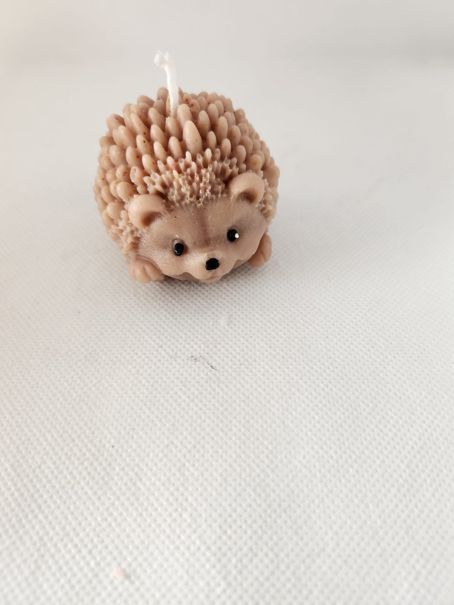 Igel