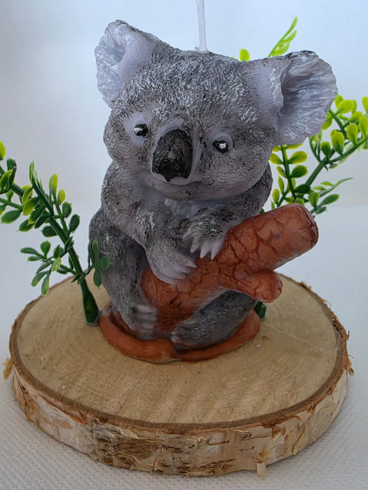 Koala Kerze