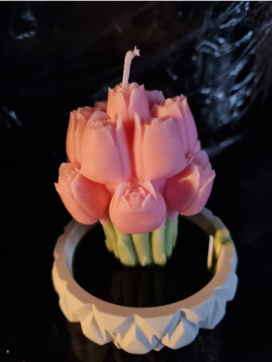 Tulpe in Vase